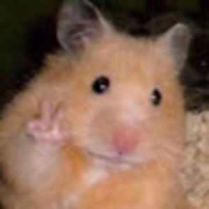 Meet your Posher, Camila